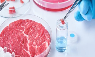 Лабораторный анализ пищевых продуктов по СанПиН в Сестрорецке в октябре