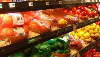 Сертификация пищевой продукции в Сестрорецке – цена от 10249 руб. | ПромМир-Сст