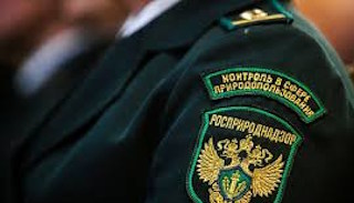 Подготовка к проверке Росприроднадзора в Сестрорецке от ПромМир-Сст, стоимость услуги от 20498 руб.